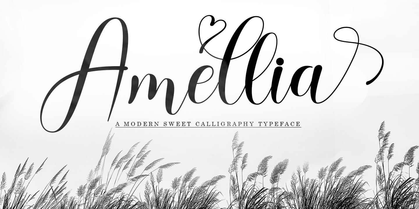 Example font Amellia Script #1